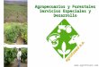 Agrofosed - Presentación 2013 (PPT)