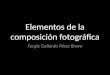 Elementos de la composición fotográfica Fer Gallardo