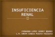 Insuficiencia renal