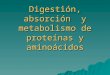Digestion y-metabolismo-de-proteinas-y-aminoacidos r