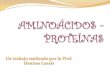 Aminoácidos proteínas
