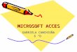 Microsoft acces
