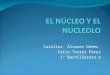 Ppt nucleo y nucleolo