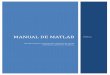 Manual  matlab R2009a