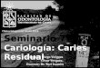 Seminario 7 cariología