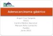 15.adenocarcinoma gástrico