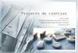 Proyectodeciencias 140128215415-phpapp02