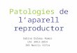 Patologies del reproductor