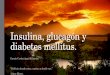 Insulina, glucagón y diabetes mellitus