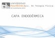 Endodermo (Capa endodérmica)