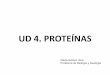 Ud 4 proteinas