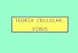 Tema 16 teoria cel·lular i virus