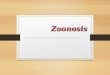 Zoonosis - riesgo biológico