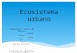 Ecosistema urbano