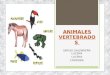 Animales vertebrados entrega 1 y 2