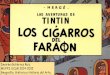 Tintin, desirée gr