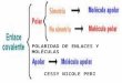 Polaridad de enlaces y moléculas