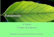 Fotosintesis - Introducción