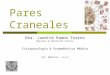 17 pares-craneales-1201130538583042-4