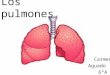 Carmen-Los pulmones