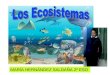 Los ecosistemas. maría hernández 2º eso