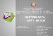 Diapositiva Metodología de Gray Watch