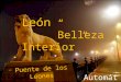 Video León