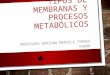 Tipos de membranas y procesos metabólicos presentación