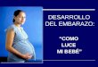 Desarrollo Del Embarazo