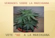 Vote no a la marihuana espanol 10.4.14 show