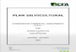 PLAN SILVICULTURAL, FORESTRY PLAN