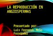 La reproducción en angiospermas