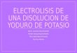Electrolisis de una disolucion de yoduro de potasio