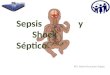 Sepsis y shock septico
