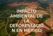Impacto ambiental de la deforestación en México