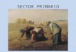 Sector primario Generalidades
