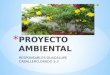 PROYECTO AMBIENTAL 5 2