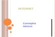 El internet y la red 2