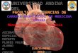 Miocardiopatías- patologia