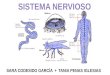 Sistema Nervioso Presentacion