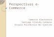 Actividad_8 - Perspectivas e-Commerce (svilatuña)