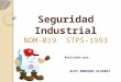 Manual seguridad-industrial