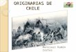 Culturas originarias de_chile