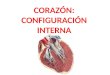 Corazón - configuración interna