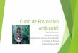 CURSO DE PROTECCION AMBIENTAL PARA BIOLOGOSDiapositivas de curso iden virtual tarea 2