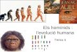 Evolució  humana tema 4