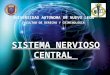 Sistema nervios central 1.0