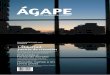 TII Cosgaya - Revista Ágape