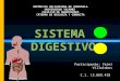 Tarea 8 sistema digestivo yeini villalobos