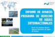 Informe de avances del Programa de Derecho de Aguas Internacionales - Sofía Castro Salvador